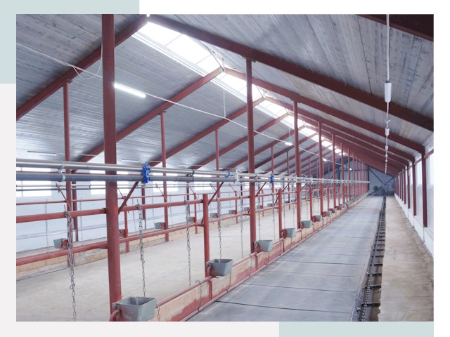 Строительство коровников в Каменске-Уральском от 638 руб.